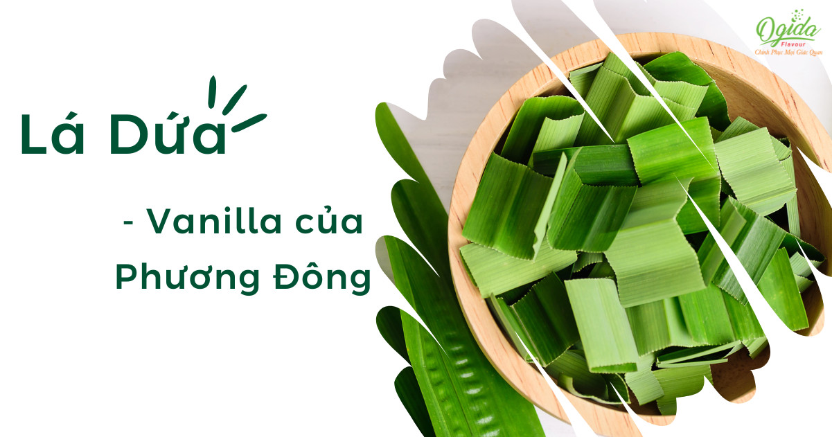 TỪ LÁ DỨA ĐẾN SÂM DỨA - VÌ SAO HƯƠNG VỊ LÁ DỨA ĐƯỢC MỆNH DANH LÀ "VANILLA OF THE EAST - VANILLA CỦA PHƯƠNG ĐÔNG"?!?