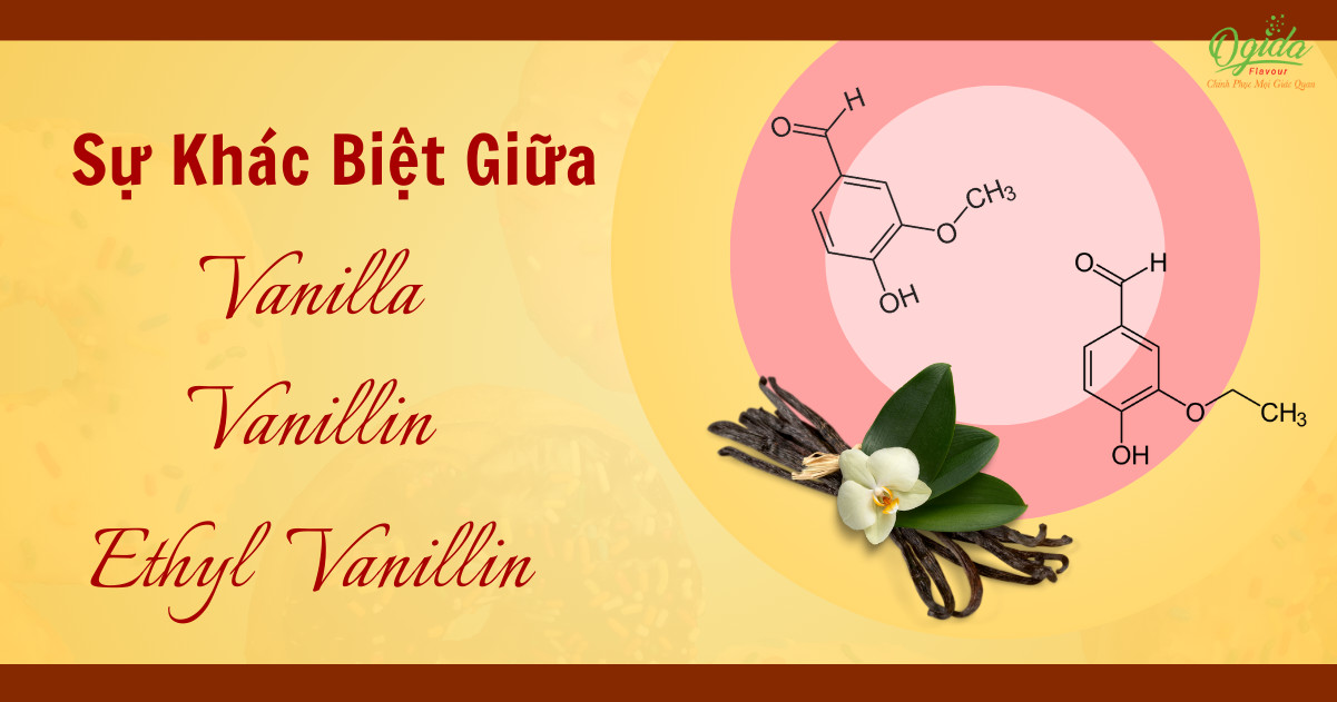 SỰ KHÁC BIỆT GIỮA VANILLA - VANILLIN - ETHYL VANILLIN