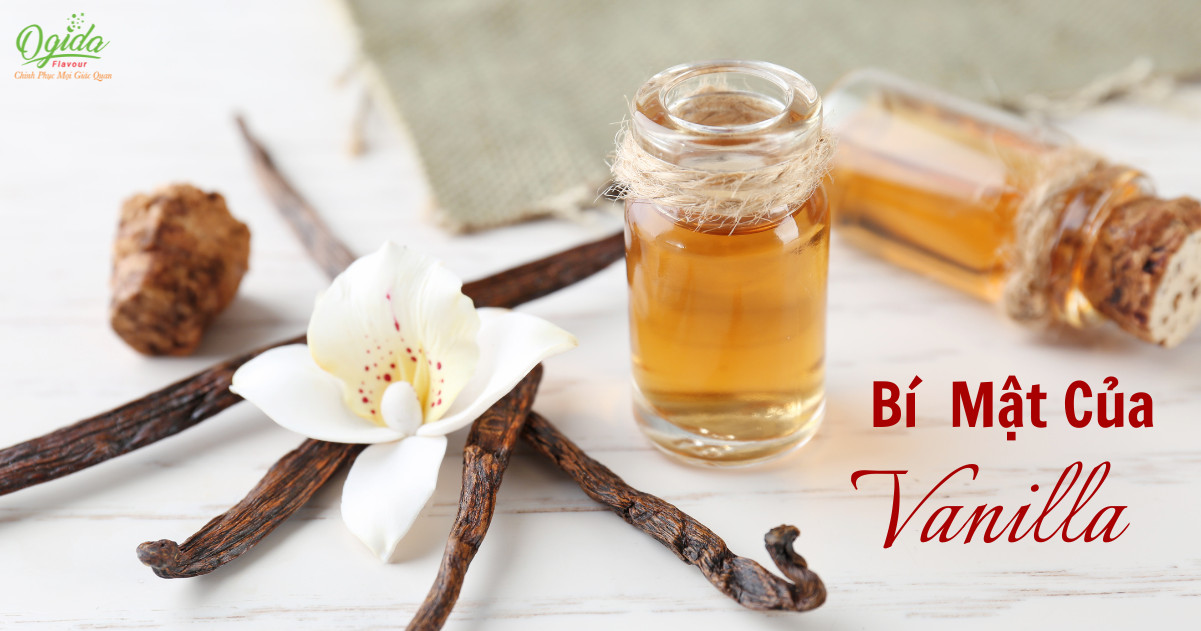 BÍ MẬT CỦA VANILLA
