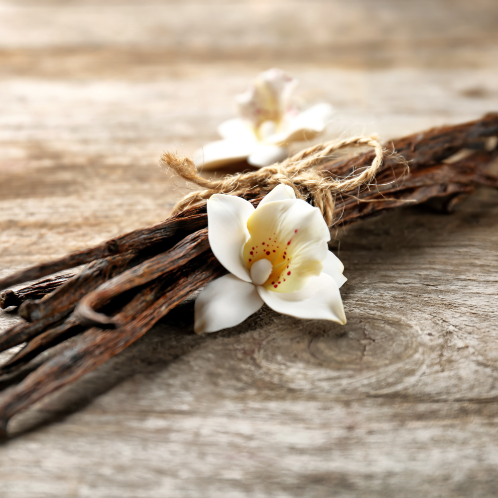 Hương Vani Bột Classique (Singapore) - Vanilla Powder Flavour