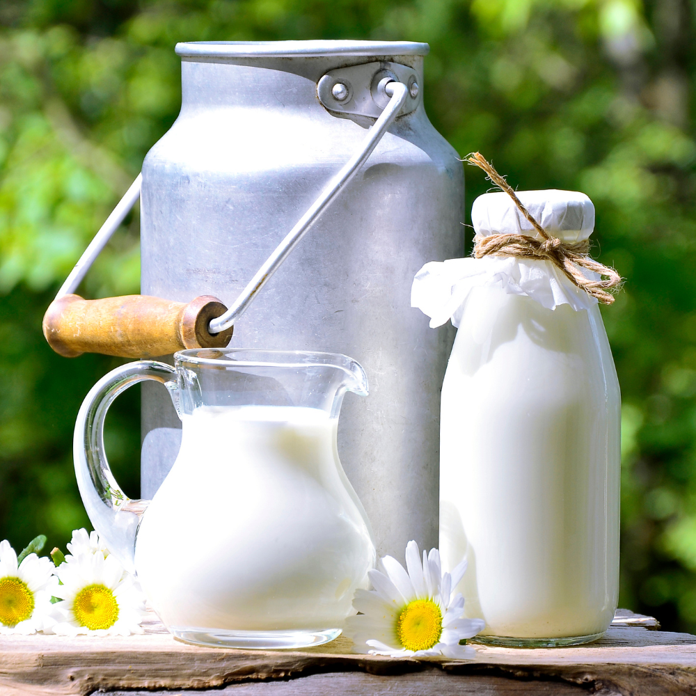 Hương Sữa Đục - Milk Paste Flavour