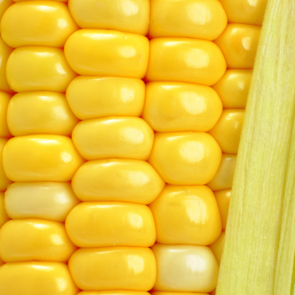 Hương Bắp Ngọt (Ngô Ngọt) - Sweet Corn Flavour