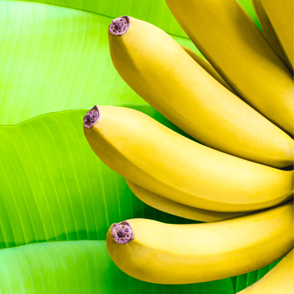 Hương Chuối - Banana Flavour